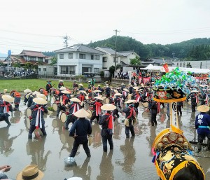 壬生の花田植え19年6月2日dr