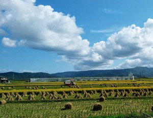 湯梨浜町10月16日oQP