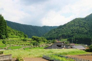 安芸大田町bey